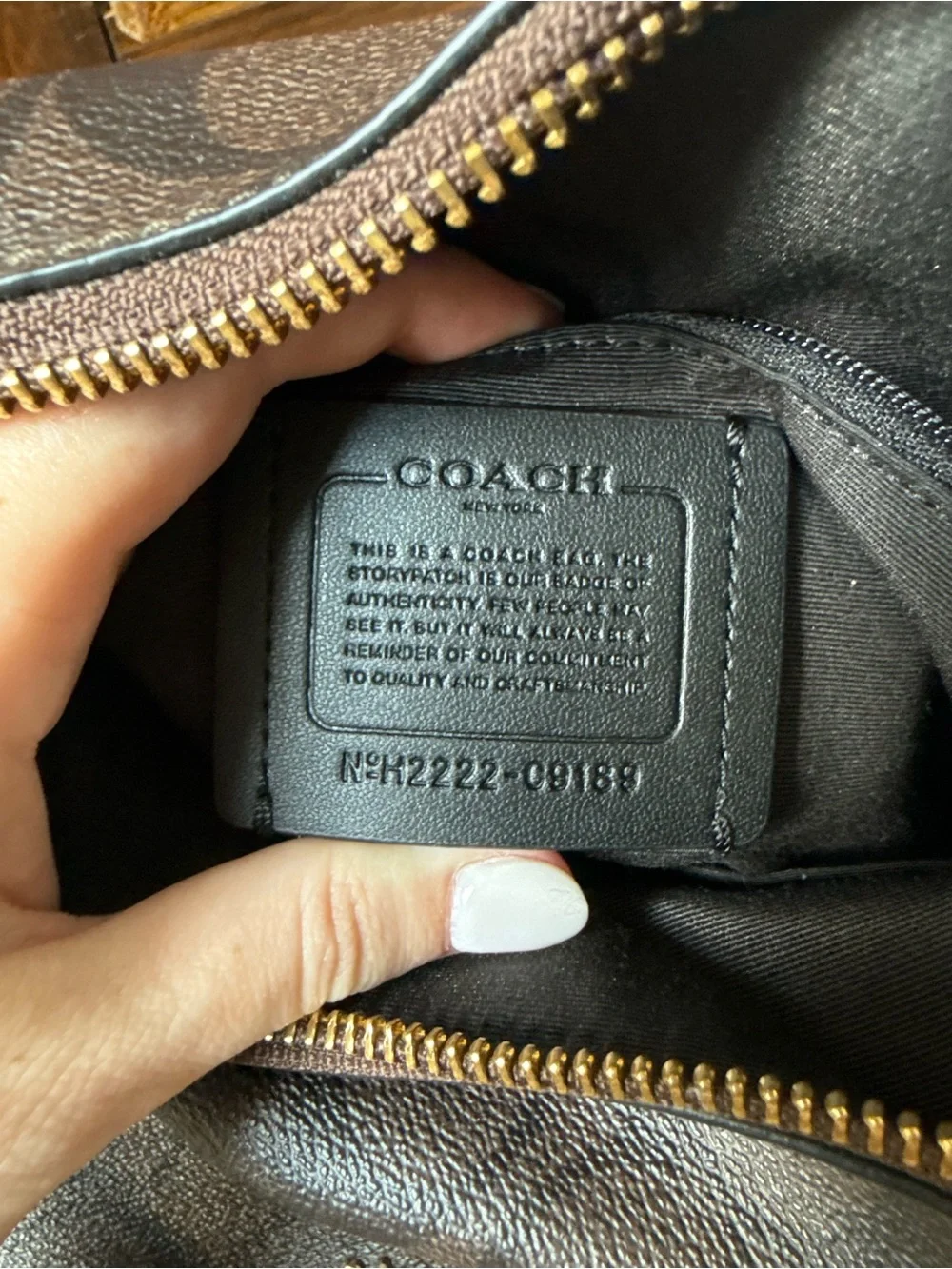 Coach Brown and Black Signature Jules Hobo with Gold Hardware